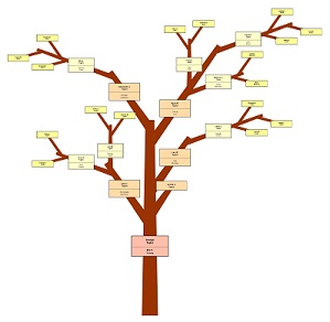Sample 3 Four Generations